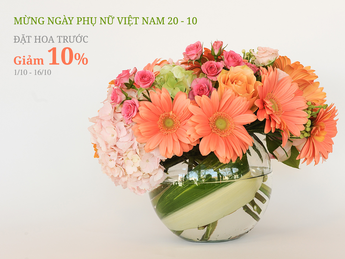 Các chương trình khuyến mãi tháng 10/2016 Các chương trình khuyến mãi tháng 10/2016