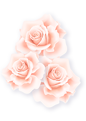 BLOOMING - Mua sắm mỹ phẩm chính hãng Hàn Quốc