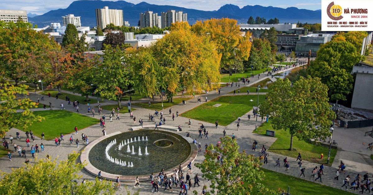 𝐒𝐔𝐌𝐌𝐄𝐑 𝐂𝐀𝐌𝐏 𝐂𝐀𝐍𝐀𝐃𝐀 𝟐𝟎𝟐𝟔 – 𝐂𝐇𝐔̛𝐎̛𝐍𝐆 𝐓𝐑𝐈̀𝐍𝐇 𝐓𝐑𝐀̣𝐈 𝐇𝐄̀ 𝐐𝐔𝐎̂́𝐂 𝐓𝐄̂́ 𝐓𝐀̣𝐈 𝐔𝐁𝐂 𝐂𝐀𝐌𝐏𝐔𝐒 (𝐕𝐀𝐍𝐂𝐎𝐔𝐕𝐄𝐑)