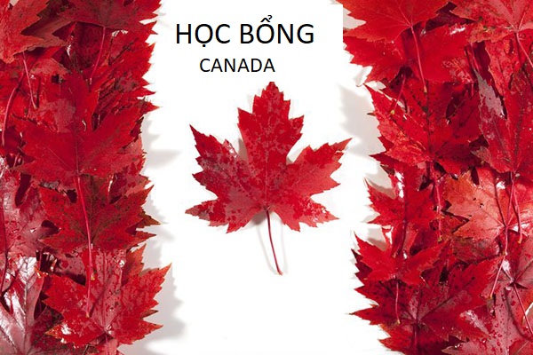 HỌC BỔNG CANADA CHO SINH VIÊN QUỐC TÊ