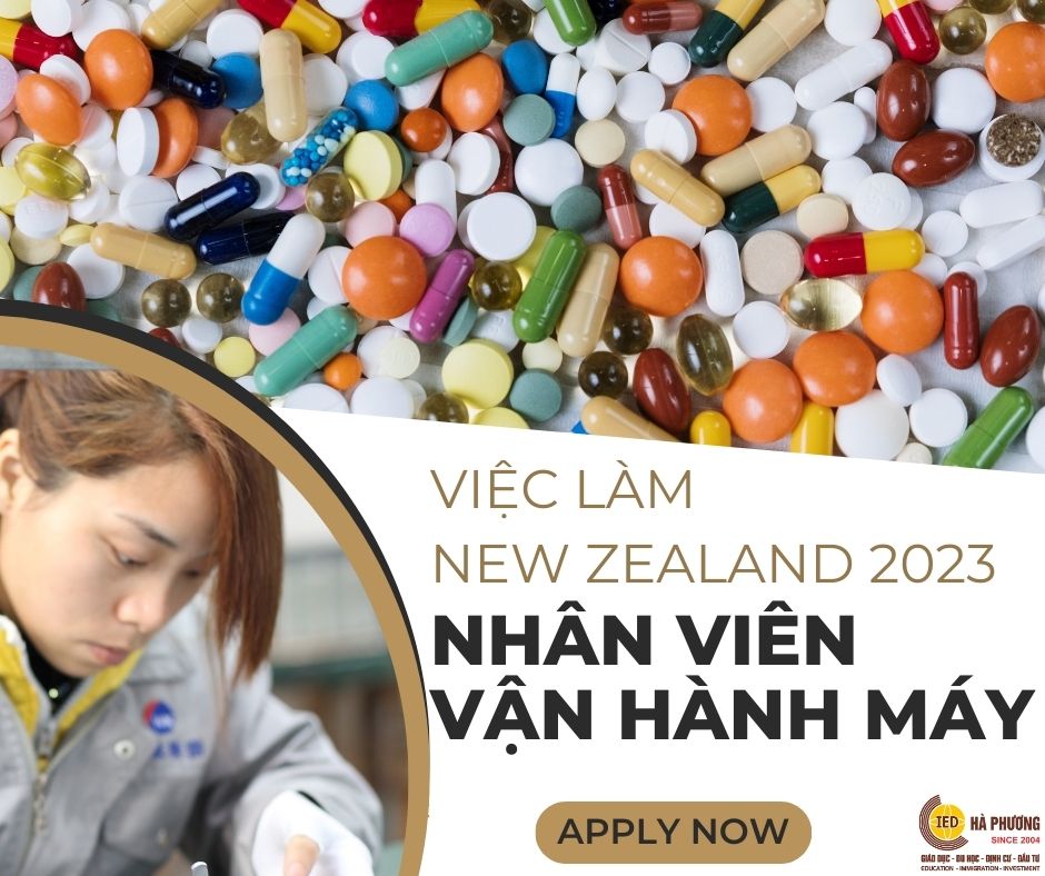 CƠ HỘI VIỆC LÀM - ĐỊNH CƯ #NEW_ZEALAND NGAY THÁNG 6 NÀY