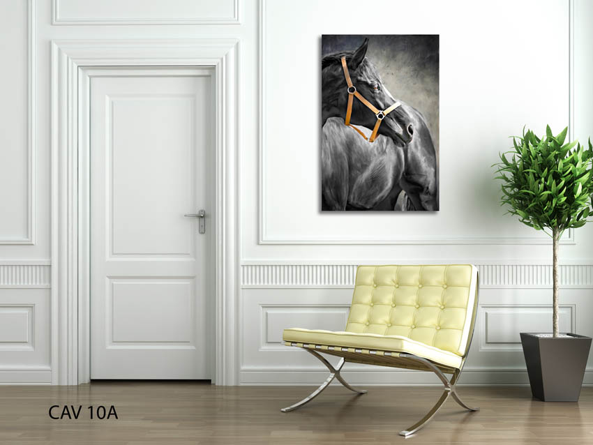 tranh-nghe-thuat-nha-don