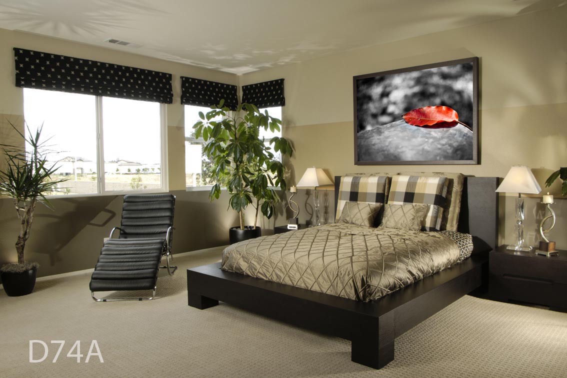 tranh-nghe-thuat-nha-don