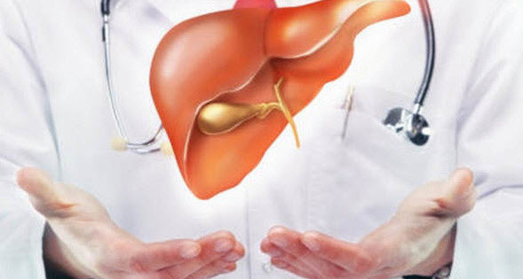 Hình ảnh Bổ gan, giải độc gan, men gan tăng cao không thể dùng tùy tiện