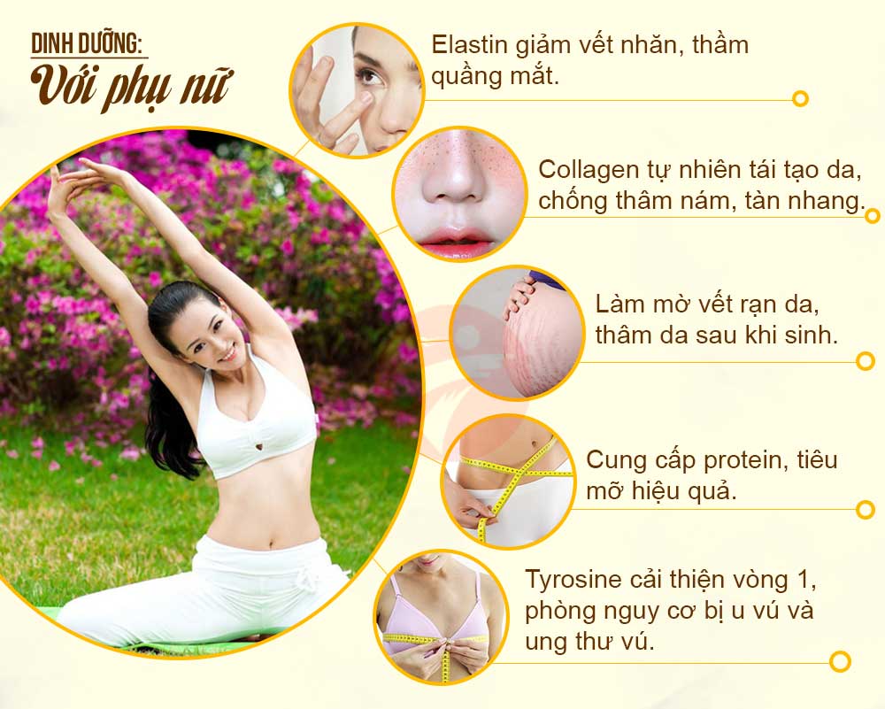 hình ảnh Công dụng tuyệt vời của tổ yến sào với sức khoẻ phụ nữ là gì