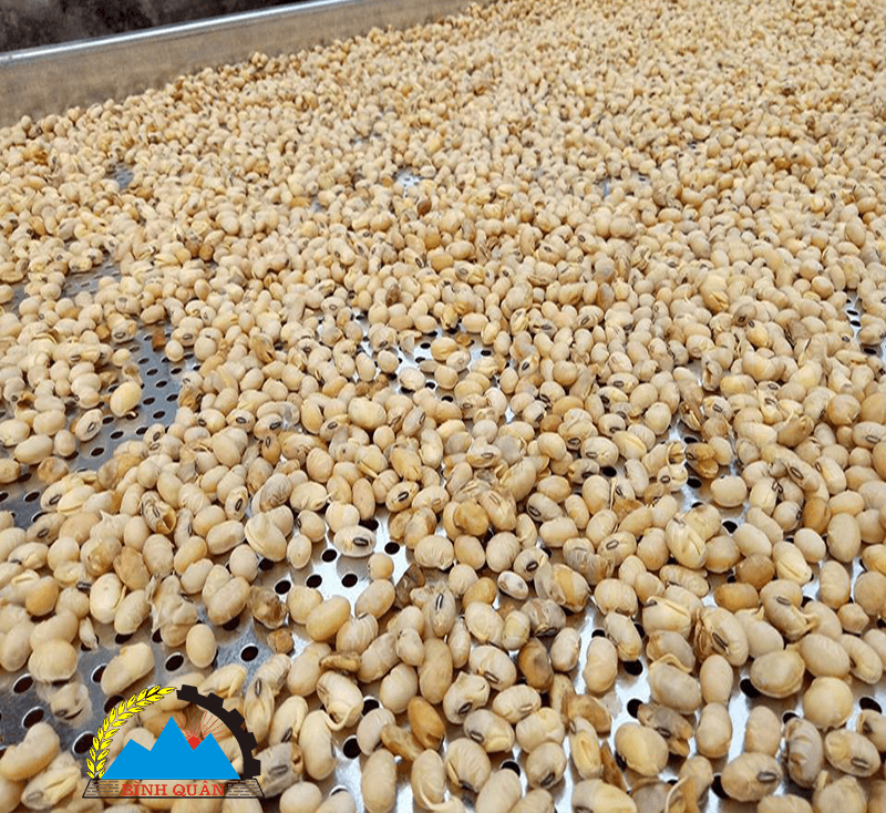 Máy sấy mầm đậu nành, và các loại hạt ngũ cốc khô giòn dễ nghiền