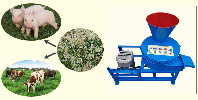 Máy băm chuối đa năng – Cánh tay đắc lực của nhà nông