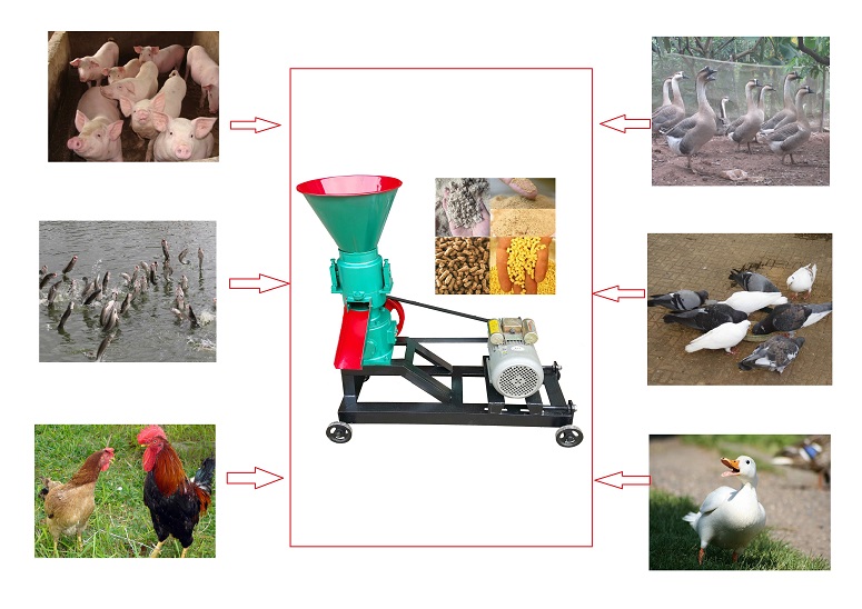 Bạn đã biết lợi ích của máy ép cám viên Bình Quân chưa?