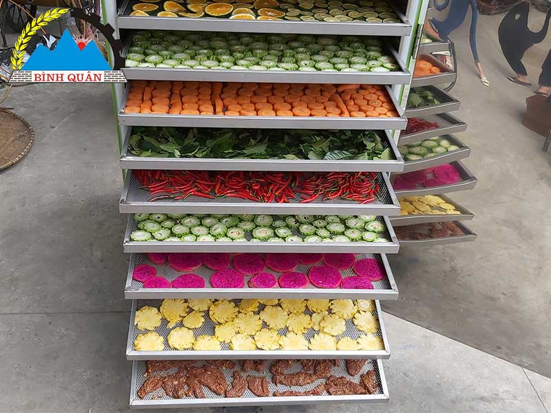 khay sấy to rộng