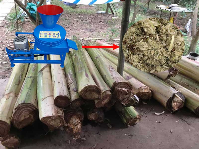 máy băm chuối