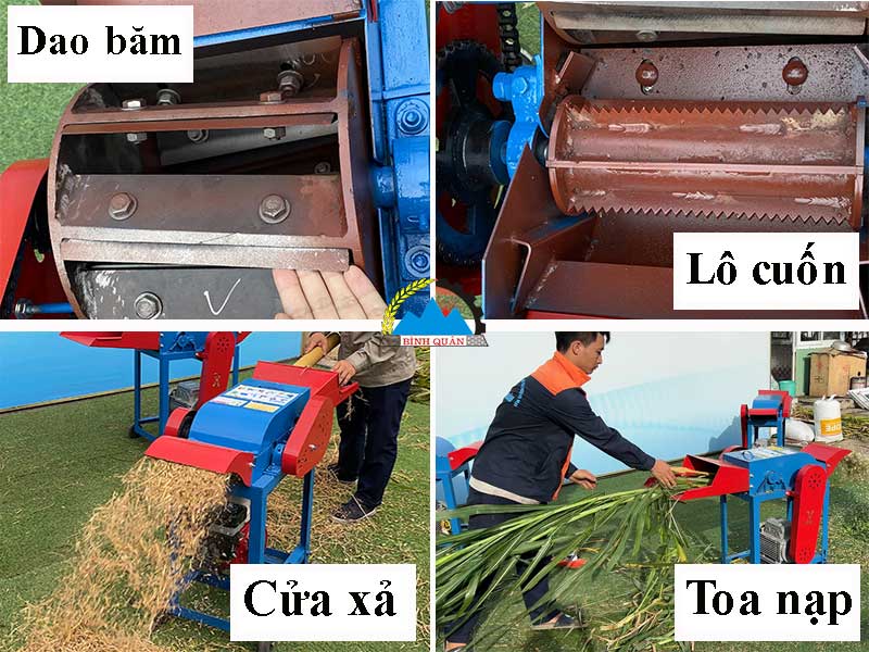 máy băm cỏ cho bò