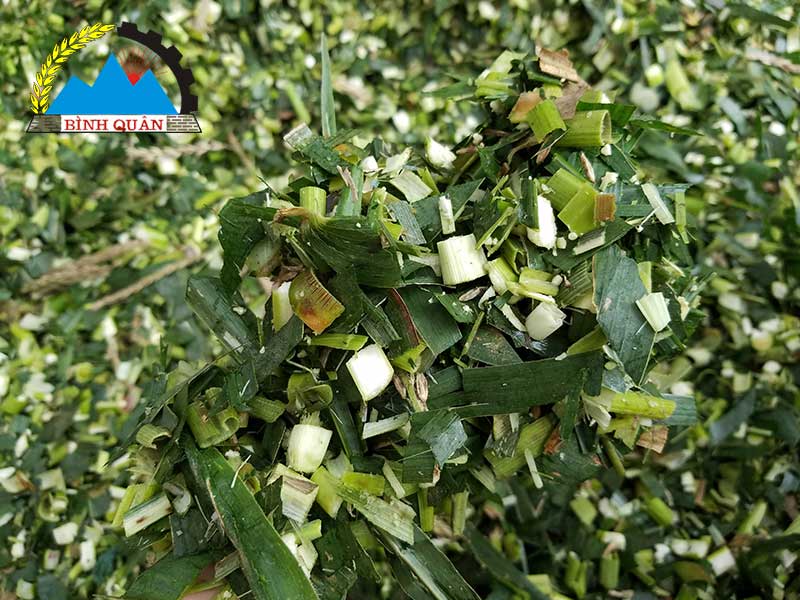 máy băm cỏ công nghiệp