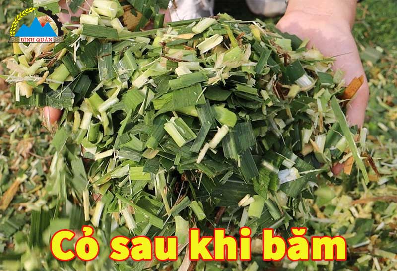 máy băm cỏ công nghiệp