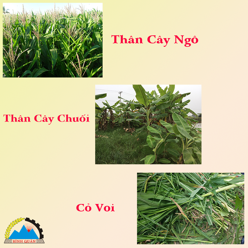 máy băm chuối công nghiệp