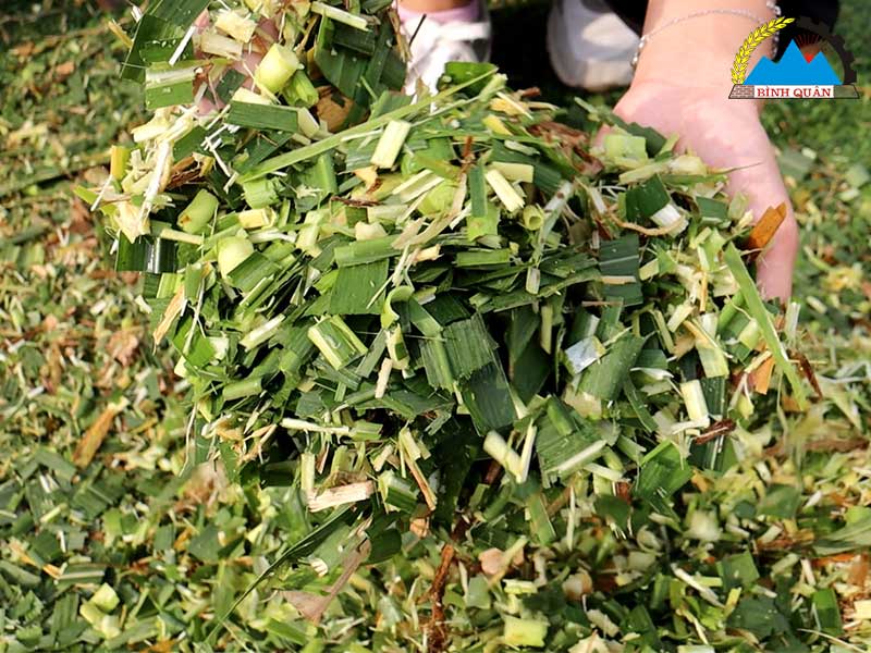 máy băm cỏ đa năng