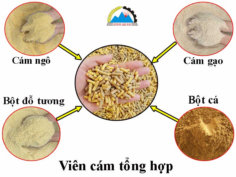 máy ép cám viên công suất lớn