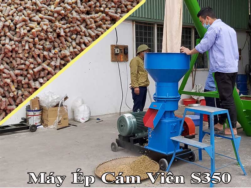 máy ép cám viên trục đứng