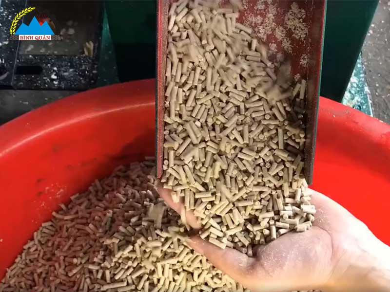 máy ép cám viên gia đình