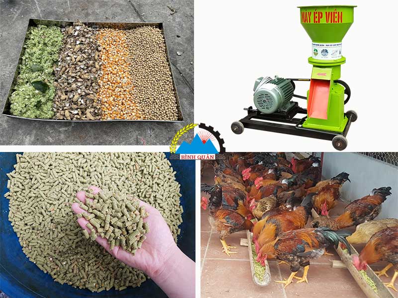 máy ép cám viên giá rẻ
