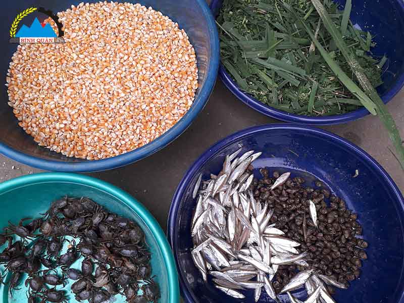 máy ép cám viên mini