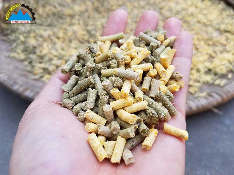 máy ép cám viên S200