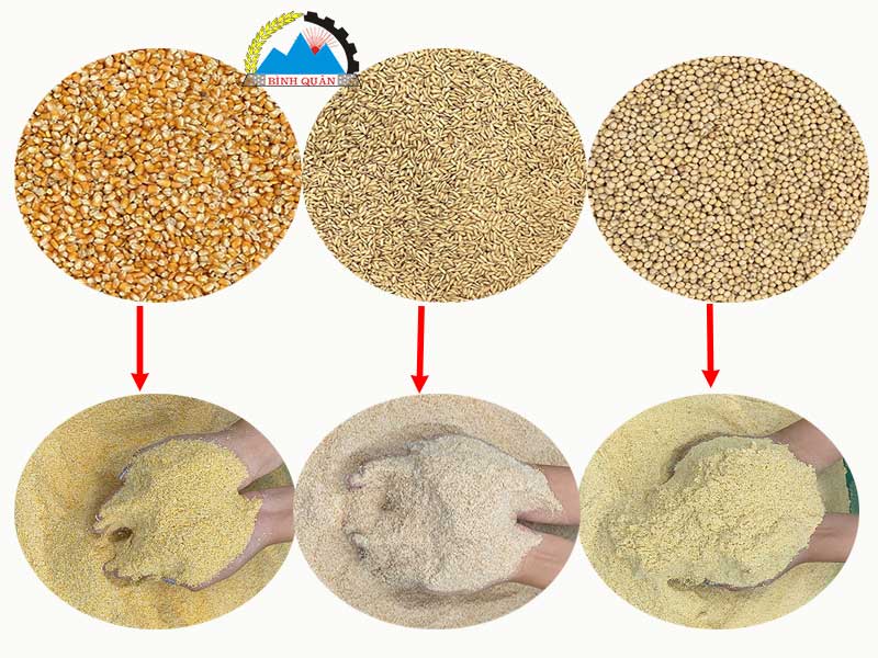 máy nghiền cám ngô