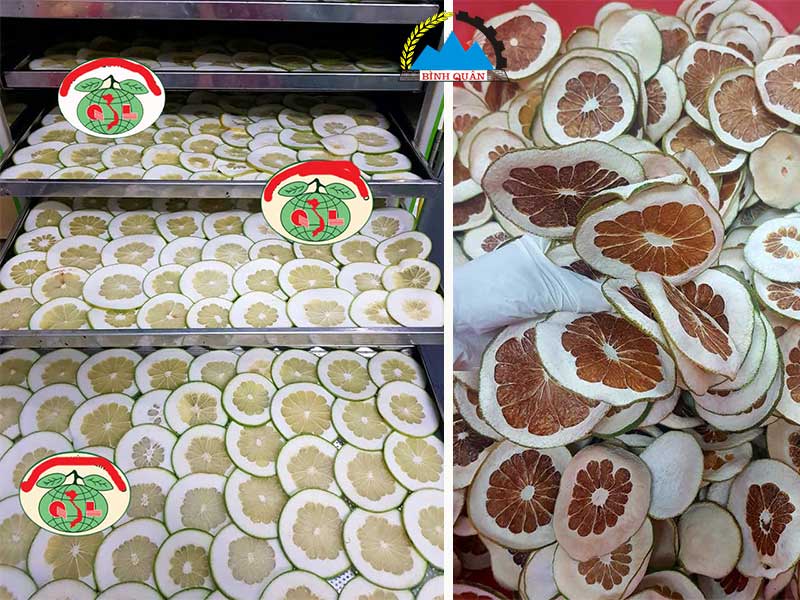 máy sấy hoa quả công nghiệp