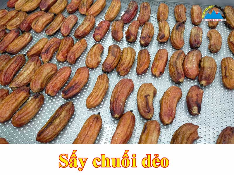 máy sấy hoa quả khô