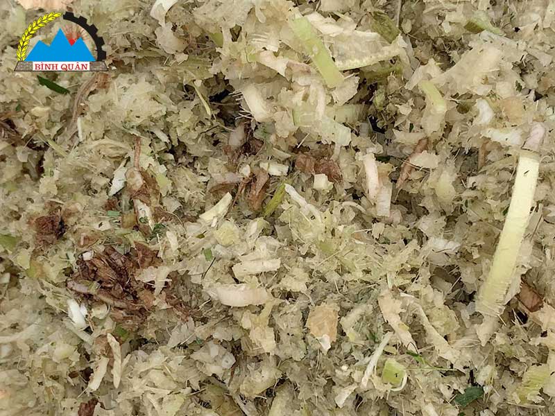 máy thái cây chuối