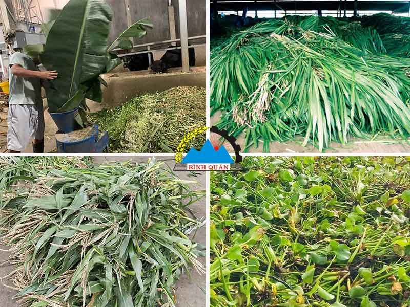 máy thái cây chuối