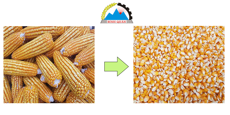 máy tách hạt ngô