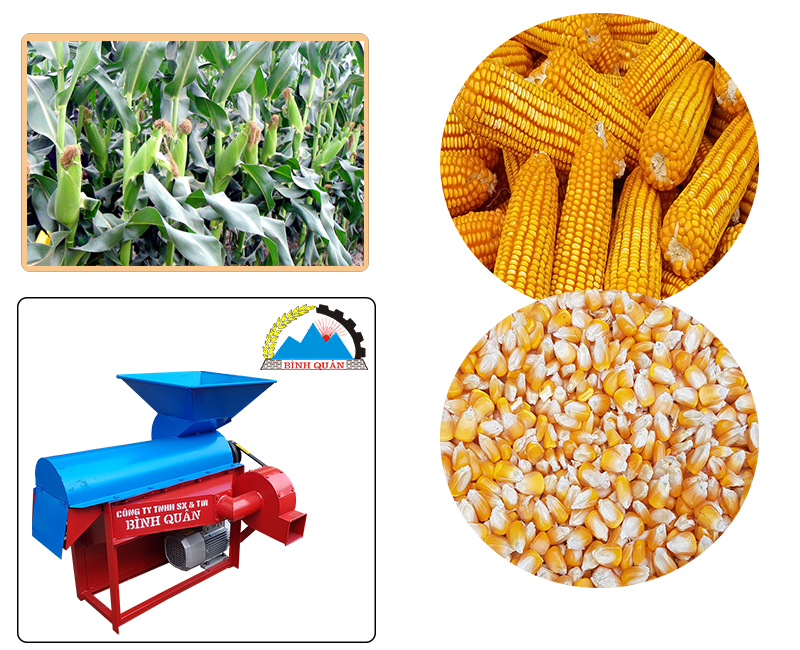 máy tách hạt ngô hộp quạt