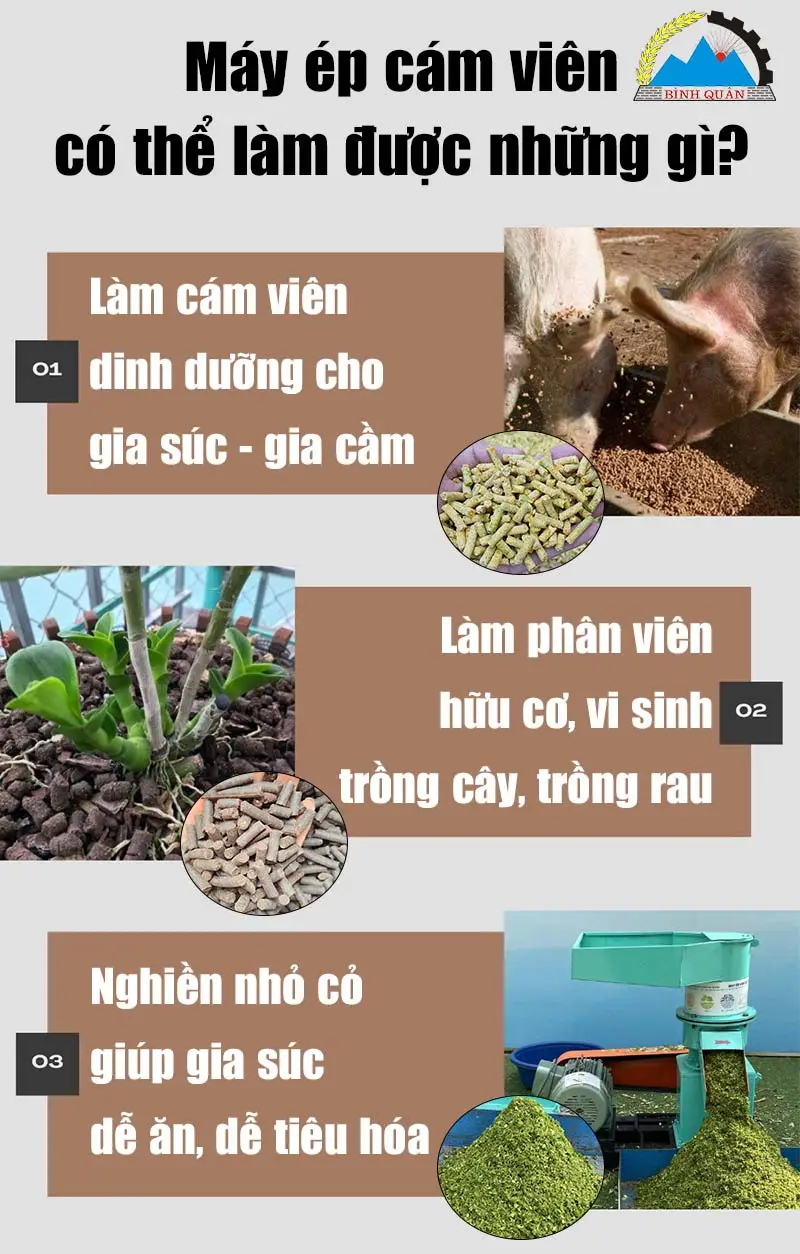 Dòng máy ép cám viên bán chạy nhất 2023