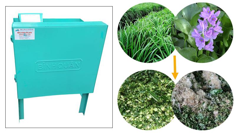 máy băm rau bèo
