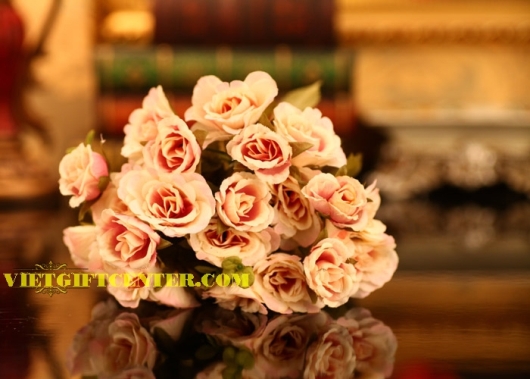 Hoa hồng vải đẹp 