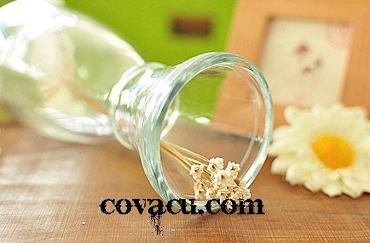 Ban chai lo thuy tinh trang tri nha dep ha noi, sai gon