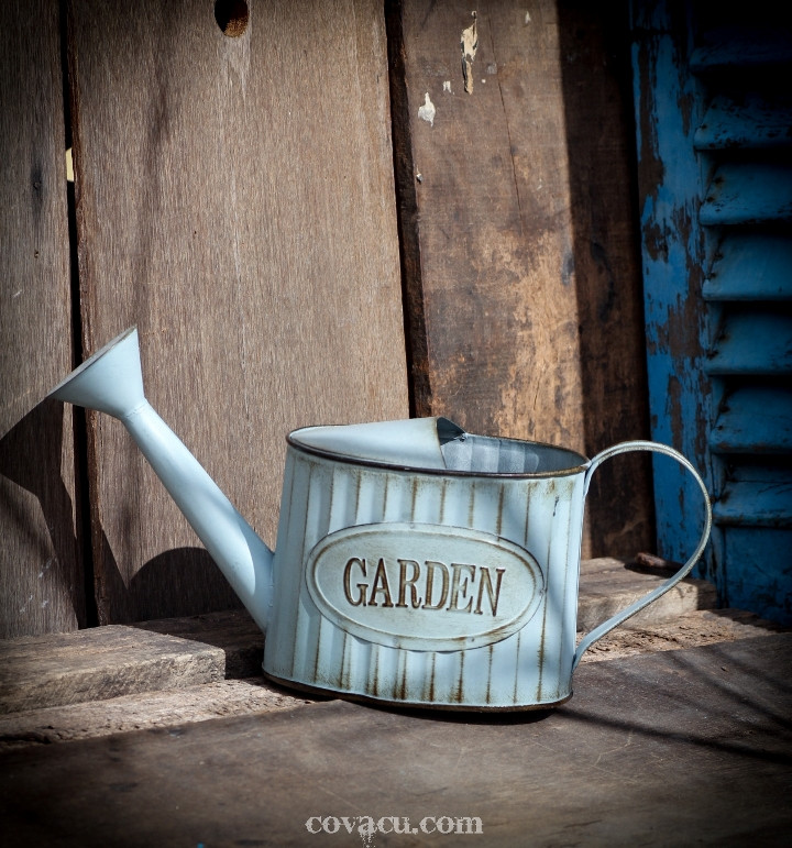 Đồ trang trí nội thất độc đáo