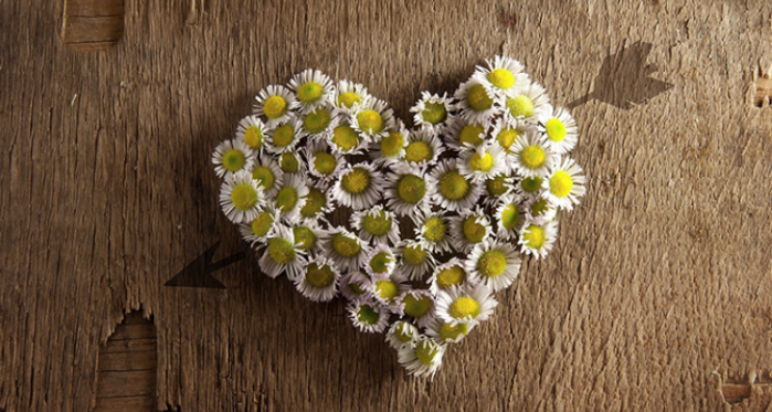 Cách chụp ảnh sản phẩm đơn giản chỉ với bộ phông nền 3d