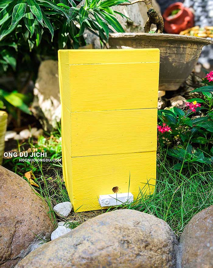 bán dụng cụ nuôi ong hà nội thùng ong dú