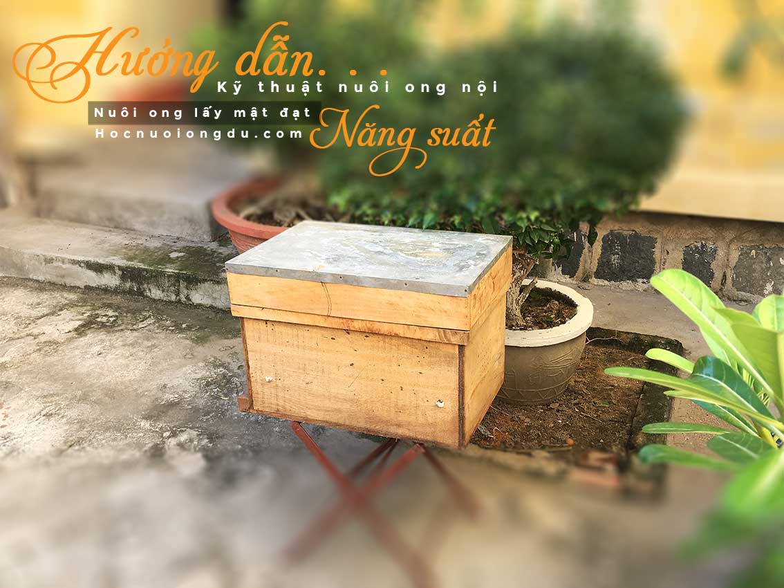 Bán thùng ong nội cải tiến mẫu thùng ong tùng hóa