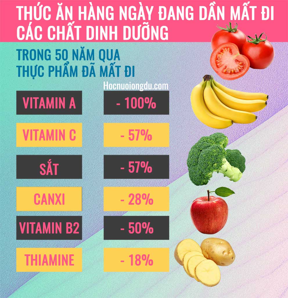 bảng thành phần dinh dưỡng rau củ quả đã mất đi