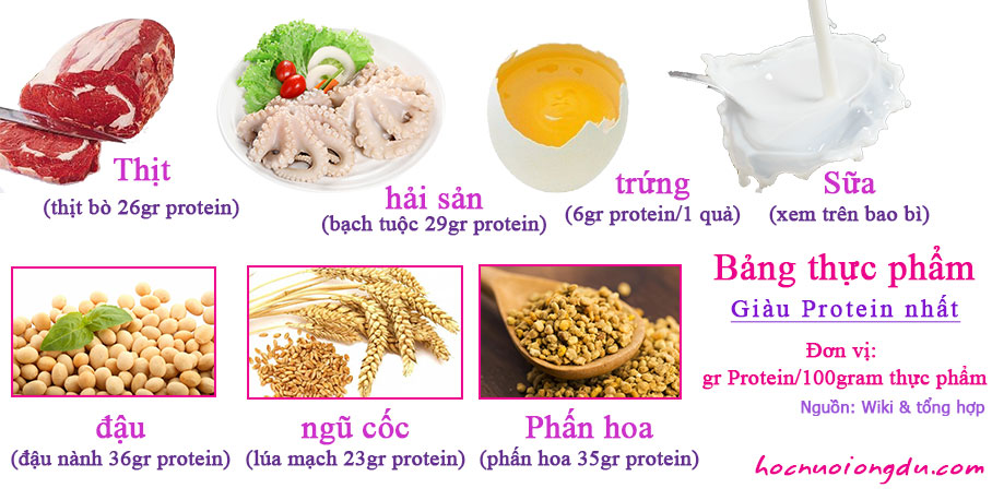 bảng các thực phẩm chứa nhiều chất đạm hay protein nhất