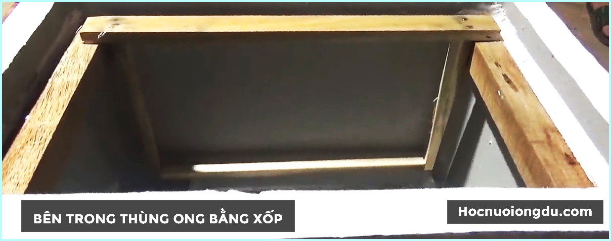 Bên trong thùng nuôi ong bằng xốp hiện đại cải tiến