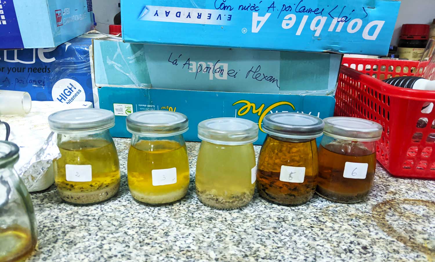 Các mẫu keo ong từ các vùng khác nhau của Việt Nam đang được phân tích