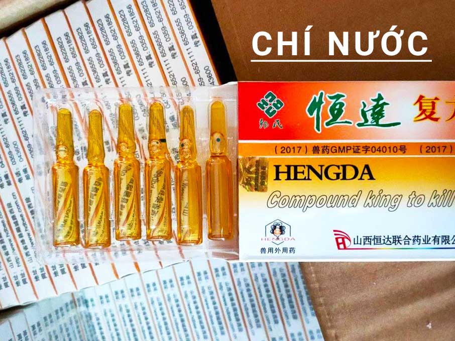 cách chữa bệnh thối ấu trùng ong mật, hướng dẫn cách nuôi ong