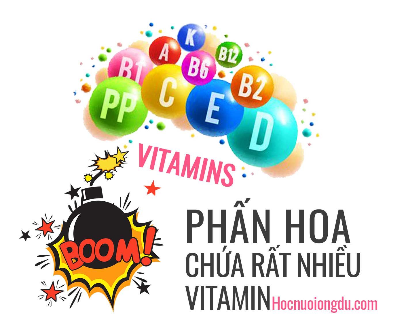 Cách dùng phấn hoa làm đẹp vì chứa rất nhiều Vitamin