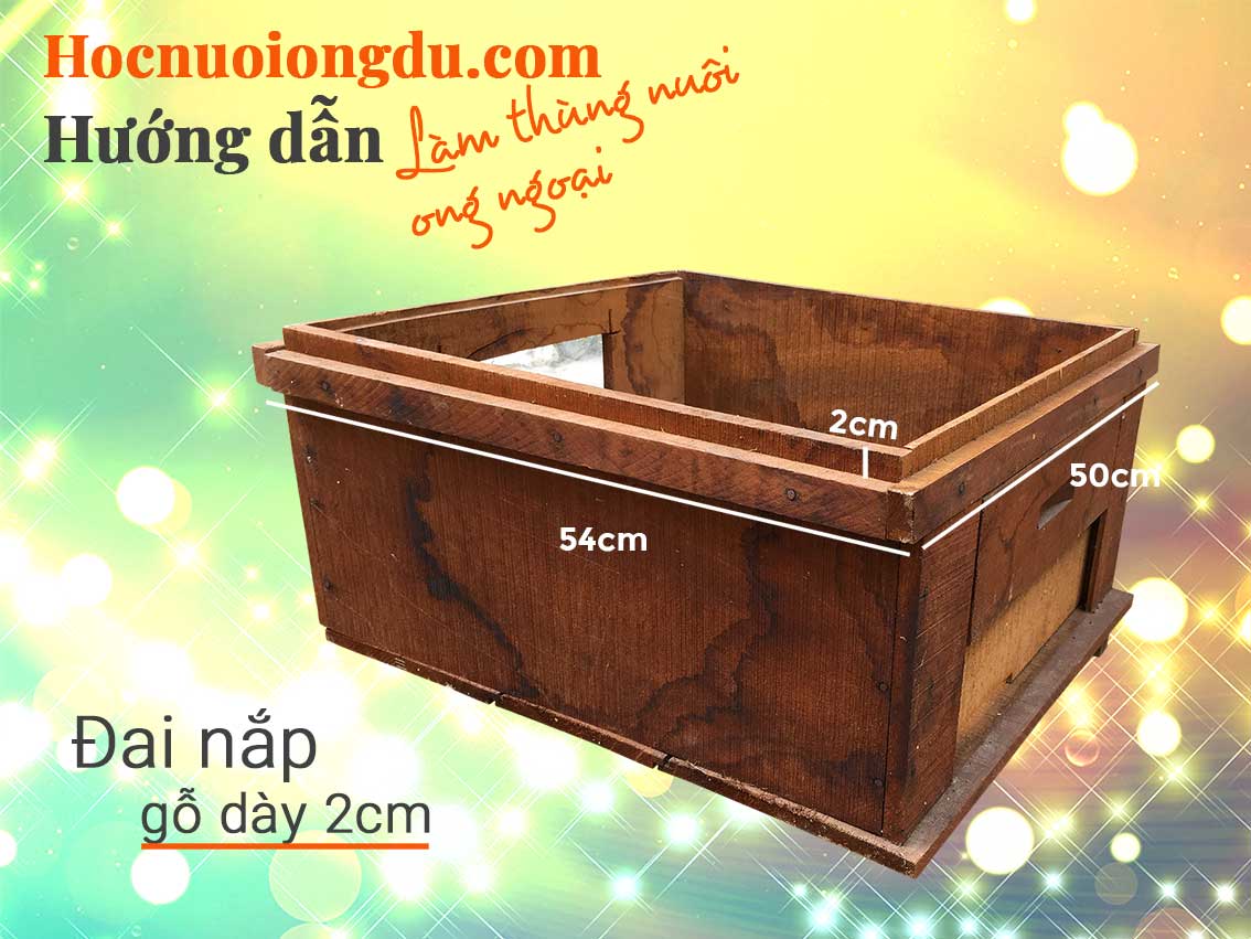 Cách làm thùng nuôi ong ngoại và kích thước thân thùng ong