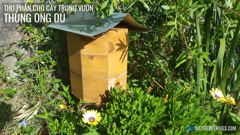Cách làm vườn hiệu quả với thùng ong dú thụ phấn trong vườn