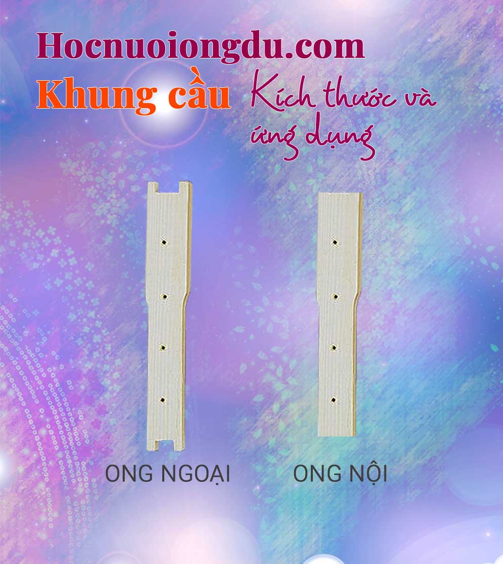 Căng khung cầu ong mật chi tiết cầu ong ý