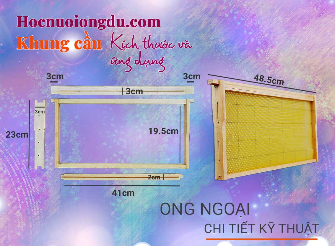 Cấu tạo khung cầu ong ngoại tiêu chuẩn, bees frames